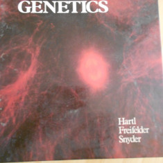 HARTL FREIFELDER SNYDER--BAZELE GENETICII