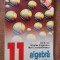 ALGEBRA CLASA A XI A - ANGELESCU , CONSTANTINESCU , ION D. ION