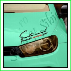 Sticker Far-Sports Mind-BMW E46_Tuning Auto_Cod: FAR-001_Dim: 25 cm. x 9.2 foto