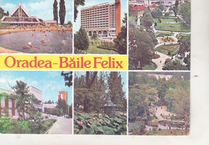 bnk cp Oradea - Baile Felix - Vedere - circulata