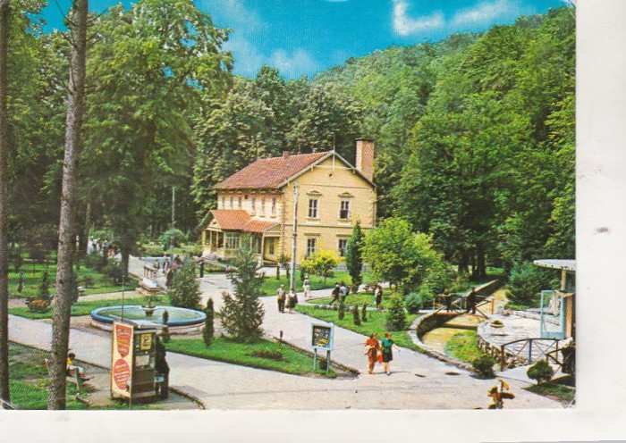 bnk cp Baile Moneasa - Vedere din statiune - circulata - marca fixa
