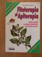 FITOTERAPIA SI APITERAPIA, GHEORGHE GRIGORE foto