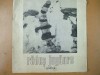 Radus Jungarus grafica catalog expozitie Bucuresti 1981 Simeza