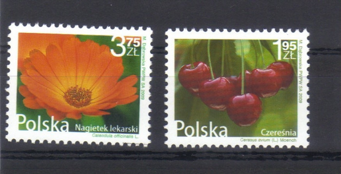 POLONIA 2009, Flori si fructe, MNH, serie neuzata