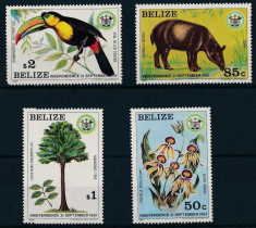 Belize 1981 - Fauna, flora, serie neuzata foto