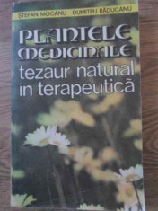 Plantele Medicinale Tezaur Natural In Terapeutica - Stefan Mocanu Dumitru Raducanu ,395107 foto