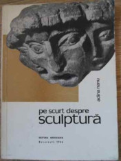 Pe Scurt Despre Sculptura - Adina Nanu ,395135 foto