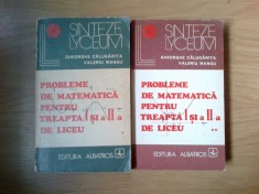n2 Probleme de matematica pentru treapta I si a II-a de liceu {2 volume} - G. C