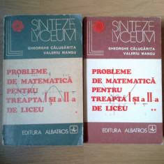 n2 Probleme de matematica pentru treapta I si a II-a de liceu {2 volume} - G. C