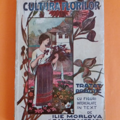 Cultura florilor - Ilie Morlova 1927/ R7P4S