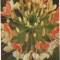 bnk cp Romania - Felicitare - flora - necirculata