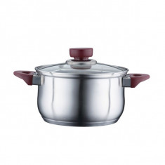 Oala din inox cu capac yena 4,5 litri - PH-15821-22 foto