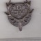 bnk ins Germania - Insigna vanatoare - DJV - Der Deutsche Jagdverband