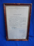 Cumpara ieftin AUTORIZATIE COMERCIANT * CHESTURA POLITIEI MUNICIPIULUI PLOESTI * 1942, Documente