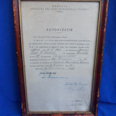 AUTORIZATIE COMERCIANT * CHESTURA POLITIEI MUNICIPIULUI PLOESTI * 1942