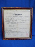 Cumpara ieftin AUTORIZATIE SIMIGERIE * CONSILIUL DE IGIENA AL MUNICIPIULUI PLOESTI * 1940, Documente
