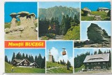 Bnk cp Muntii Bucegi - Vedere - necirculata, Printata