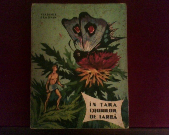 Vladimir Braghin In Tara Codrilor de iarba