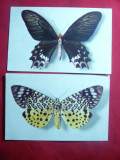 2 Ilustrate- Fluturi anii &#039;20 , Franta, Necirculata, Printata