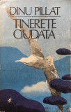 TINERETE CIUDATA - Dinu Pillat