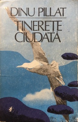 TINERETE CIUDATA - Dinu Pillat foto