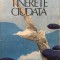 TINERETE CIUDATA - Dinu Pillat