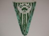 Fanion fotbal - PANATHINAIKOS ATENA (Grecia)