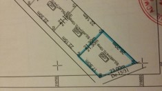 Teren Cornetu, str. Bradului foto