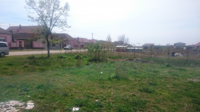 Teren Osorhei Fughiu Bihor aproape de Oradea, Baile Felix foto mare Teren Osorhei Fughiu Bihor aproape de Oradea, Baile Felix foto mare