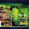Gambia - snakes - set 2015 - 2 klbg +2 bl.