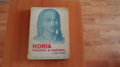 HORIA -PROCESUL SI MARTIRIUL- IOAN FRUMA foto