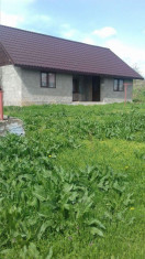 Casa cu teren in Judet Iasi Oras Targu-Frumos sat Dadesti foto