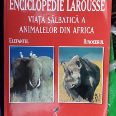 Enciclopedie Larousse Viata Salbatica A Animalelor Din Africa