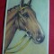 Ilustrata- Litografie - Cal , inc.sec.XX