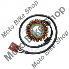 Stator Piaggio X9 500 ie Evolution ABS M2700004 2005, foto