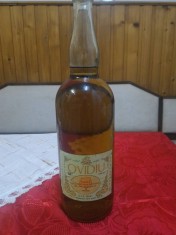 Cognac Ovidiu an 1981 foto