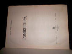 Pomicultura, Prof. N. Constantinescu,1957, 769pagini foto