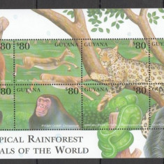 GUYANA 2001 FAUNA TROPICALA ANIMALE SALBATICE