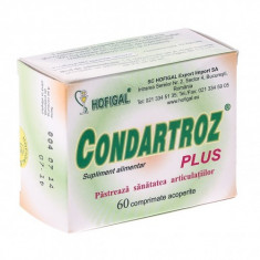 Condartroz Plus 60cpr, HOFIGAL foto