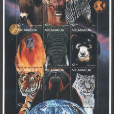 NICARAGUA 1999 FAUNA ANIMALE SALBATICE