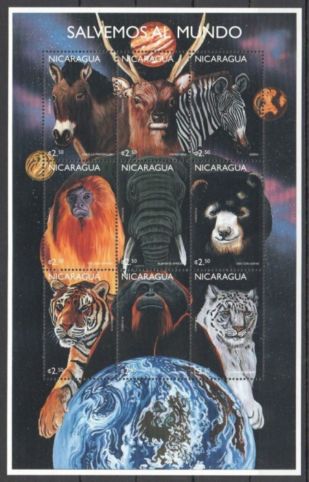 NICARAGUA 1999 FAUNA ANIMALE SALBATICE
