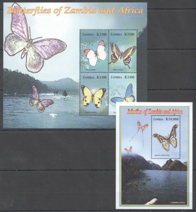 ZAMBIA 2005 FLUTURI