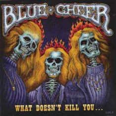 BLUE CHEER - WHAT DOESN'T KILL YOU..., 2007