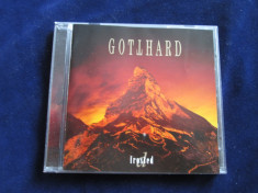 Gotthard - D Frosted _ cd,album , Ariola(EU) _ hard rock foto