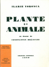 Plante si animale - Ilarie Voronca (avangarda ) cu desene de C.Brancusi foto