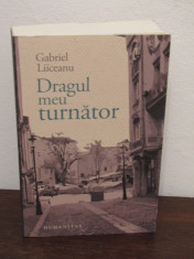 DRAGUL MEU TURNATOR-GABRIEL LIICEANU foto