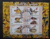 BURUNDI 2011 &ndash; FAUNA. PASARI, bloc stampilat, AC11