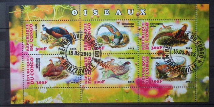 CONGO 2013 &ndash; PASARI DECORATIVE, bloc stampilat, AC13