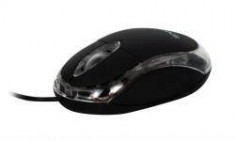 MOUSE OPTIC SPACER, 800DPI, LED albastru, black, USB &amp;quot;SPMO-080&amp;quot; (include timbru verde 0.01 lei) foto