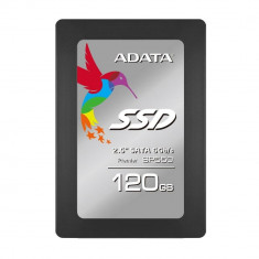 Adata SSD drive SP550 120GB M.2 up to 560/510MB/s foto